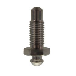 Bleeder Screw (Brake Cylinder)