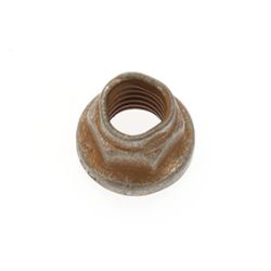 Nut