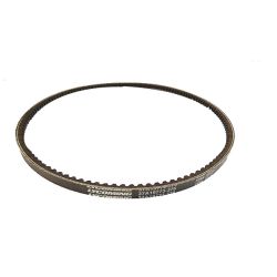 Belt (Alternator Drive)