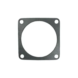 Gasket (Air Intake)