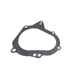 Gasket (Start Adapter)
