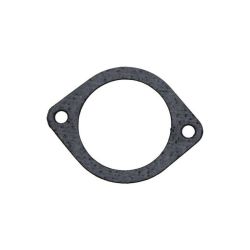 Gasket (2-Bolt Flange)