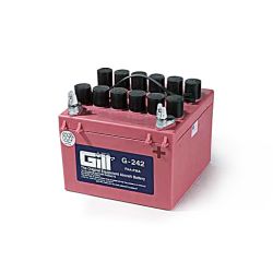 Gill® Battery, Dry, 24V, 10Ah (G-242)