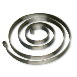 Champion® Impulse Coupling Spring