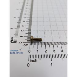 Screw /100