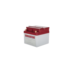 Concorde® Battery, 24V, 11.0 Ah