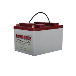 Concorde® Battery, 24V, 19.0 Ah