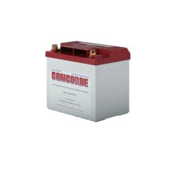 Concorde® Battery, 12V, 22.0 Ah (RG-25)