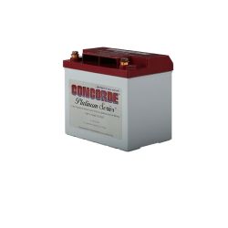 Concorde® Battery, 12V, 24.0 Ah (RG-25XC)