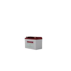 Concorde® Battery, 12V, 29.0 Ah (RG-35A)